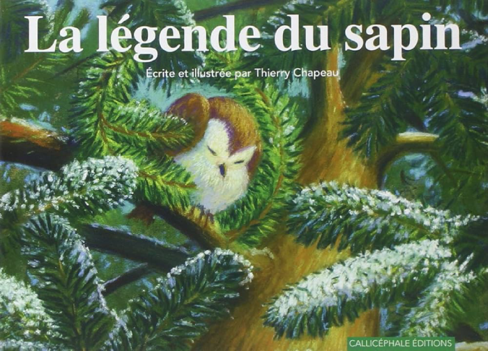 L'Histoire de Noel pour Enfant: "La Légende du Sapin de Noël"  
